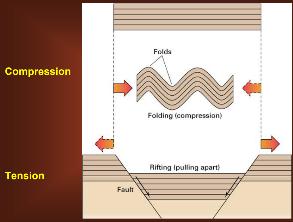 <p><strong>destructive</strong>: crusts are <u>consumed and forced into the depths</u></p><ul><li><p>volcanoes</p></li><li><p>upon this boundary might be earthquakes (slip gradually or locked together then release suddenly)</p></li></ul><p><strong>constructive</strong>: <u>tensional force, create new crust</u></p><ul><li><p><u>Compression</u>: folds where crustal plates coming together, creating compressional force</p></li><li><p><u>Tension</u>: rearranging in plates</p></li><li><p><u>both compression and tension creates changes in relief/elevation</u></p><ul><li><p>will be a chance for things to move downslope (<em>geomorphic processes</em>)</p></li></ul></li></ul><p></p>