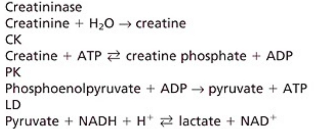 <p>Creatininase-CK</p>