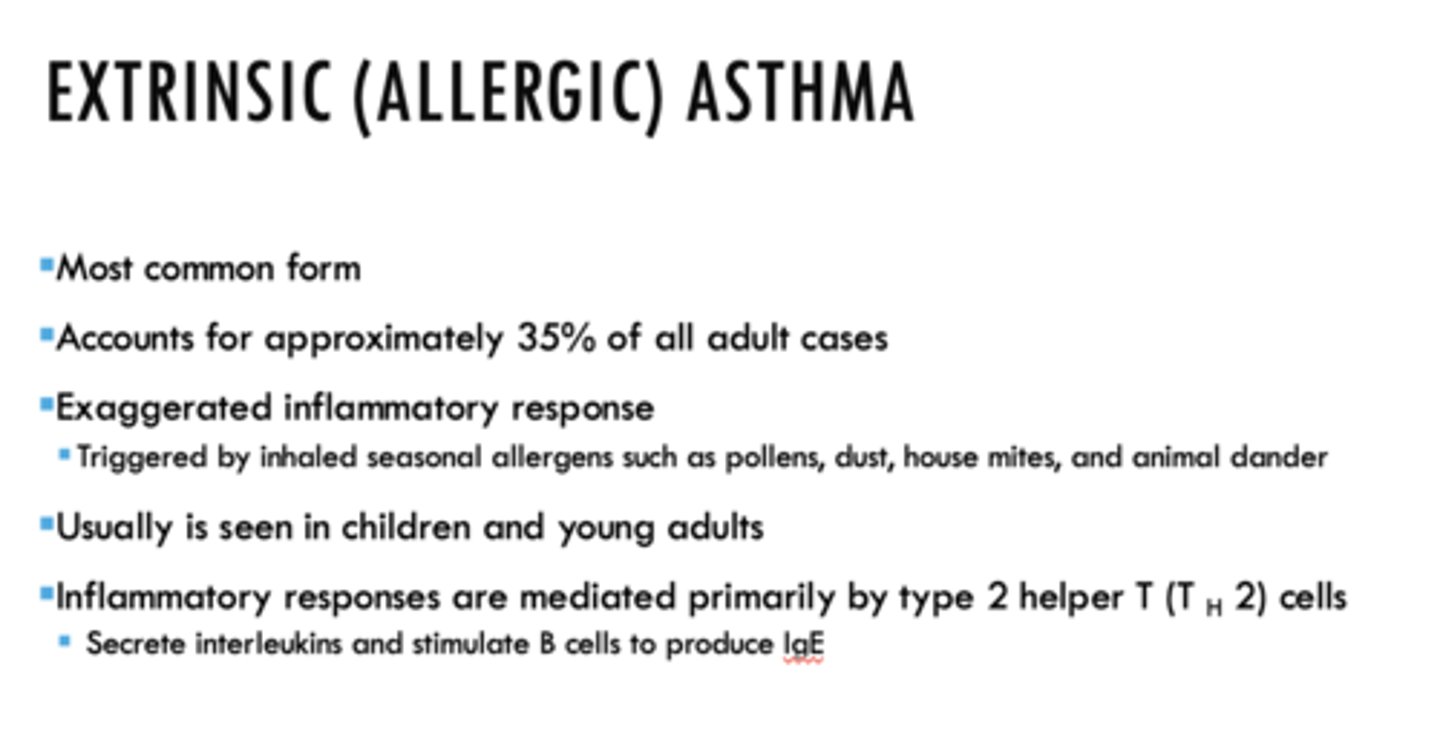 <p>Extrinsic (allergic) asthma</p>
