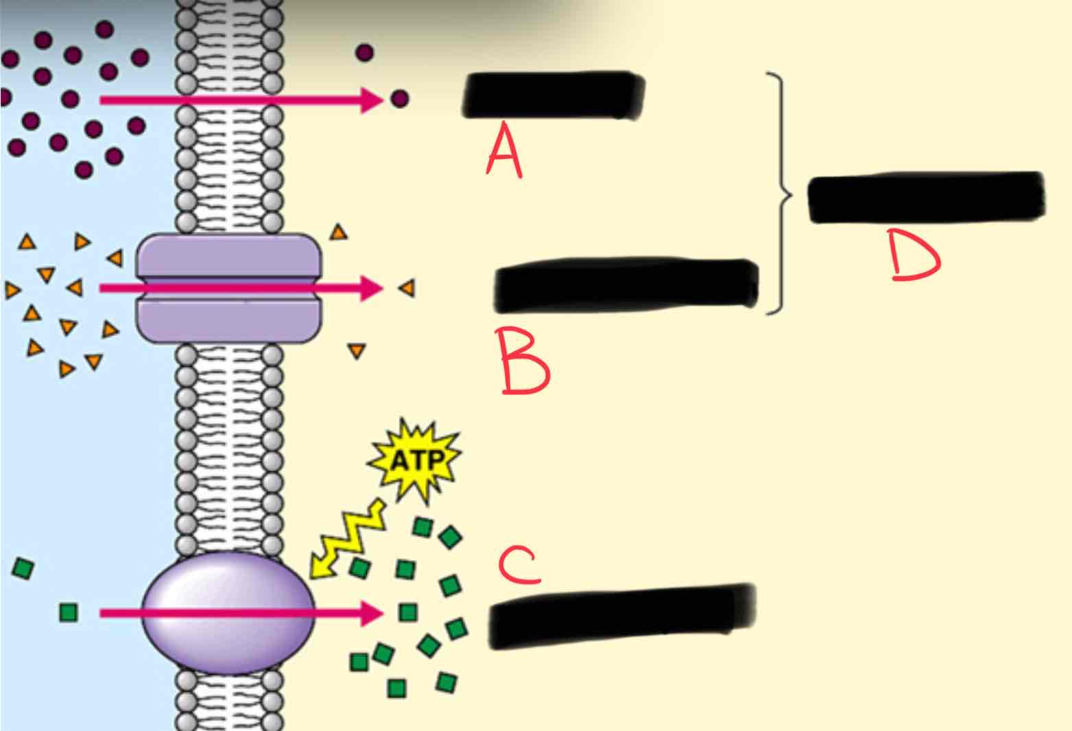 <p>B=</p>