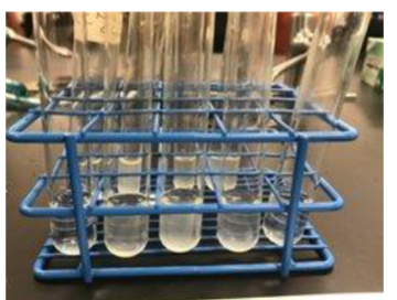<ul><li><p>Growth</p><ul><li><p>Shingle</p></li><li><p>Cloudy/Turbid</p></li><li><p>Specks</p></li><li><p>Membrane Layer on Top</p></li></ul></li></ul><p><strong>Explanation: </strong>This bacteria produces citritase to break down citrate as a carbon source for growth.</p><p></p>