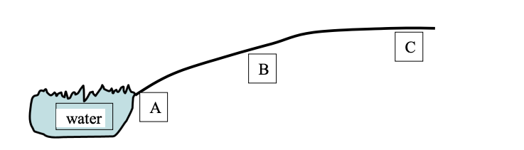 Moisture Gradiant: Acer rubrum, Picea mariana, Pinus banksiana 
Position B: