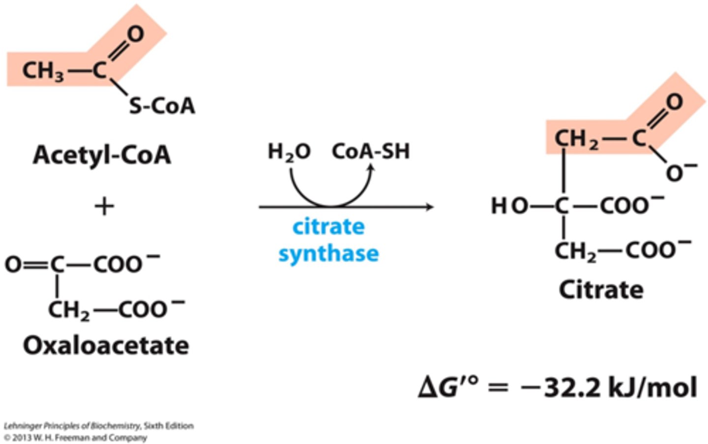 <p>An enzyme removes CoA from Acetyl CoA and the remaining <br>2 C + Oxaloacetate (4 C) -&gt; Citrate (6 C) (happens 2x)</p>