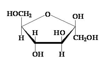 <ul><li><p>Very soluble and sweet.</p></li><li><p>Main sugar in fruit and nectar.</p></li></ul>