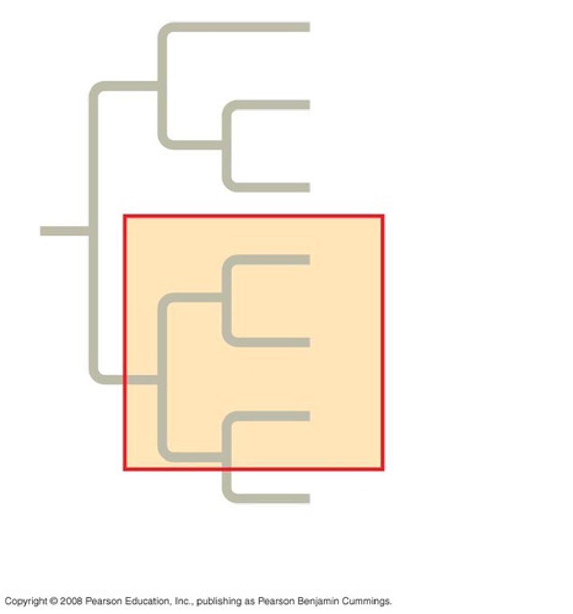 <p>Pertaining to a group of taxa that consists of a common ancestor and some, but not all, of its descendants.</p>