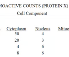 <p><span>Golgi apparatus</span></p>