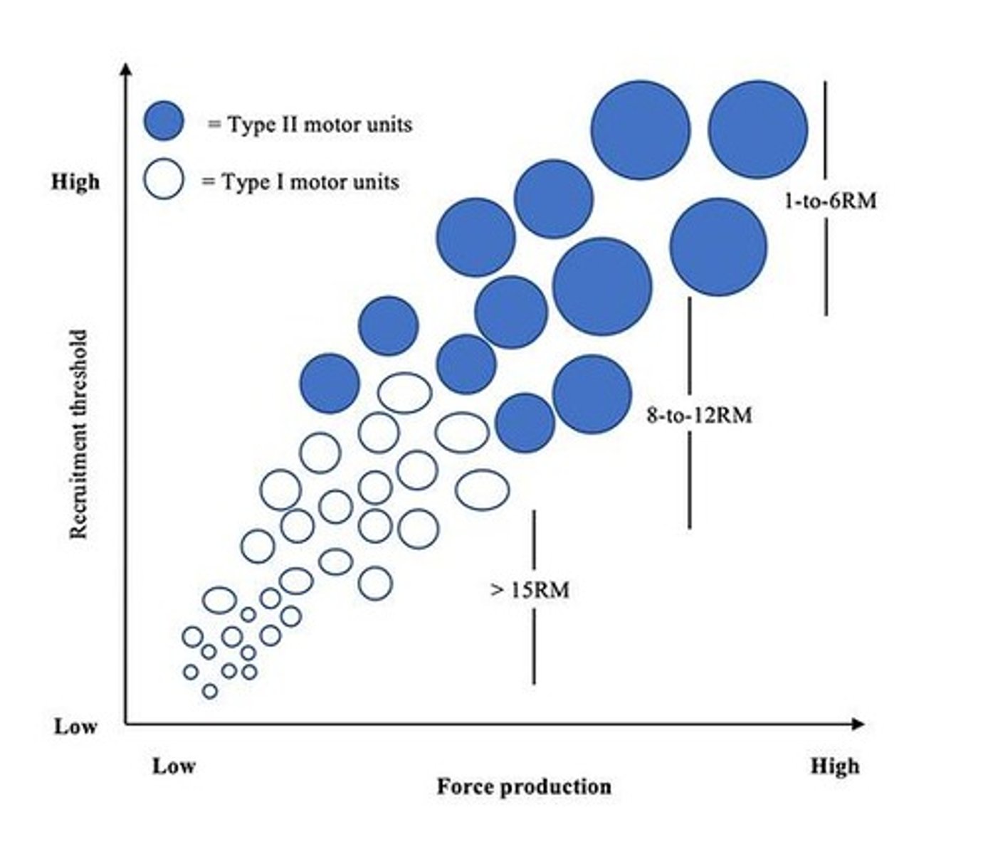 <p>Temporal summation is the summing of several EPSPs from one presynaptic neuron, while spatial summation is from several different presynaptic neurons.</p>