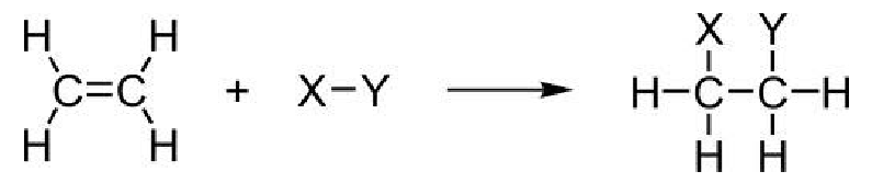 • Double and triple bonds in alkenes and alkynes allow them to undergo addition reactions 

• Double bond → single bond 

• Triple bond→ double bond 

• Reactant must be unsaturated 

• Two reactants → one product