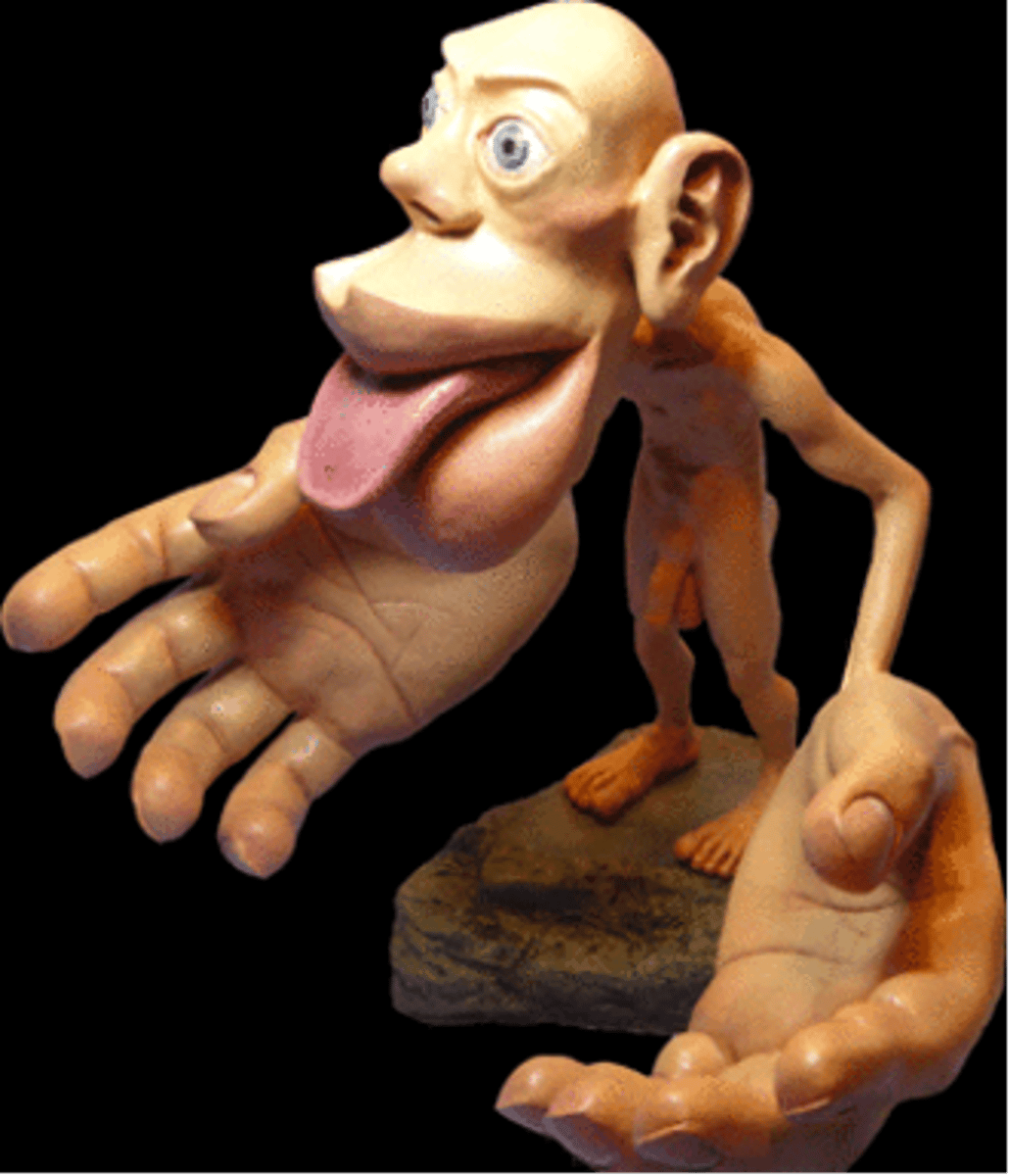 <p>false; areas of greater sensory sensitivity or capacity for finer, discrete movement have a <strong><u>greater relative</u></strong> degree of cortical representation</p>