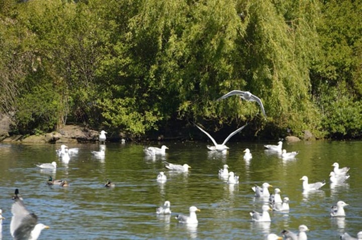 <p>wildlife refuge</p>