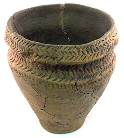 <p>concave zone encircling a vessel (usually between carinations)</p>