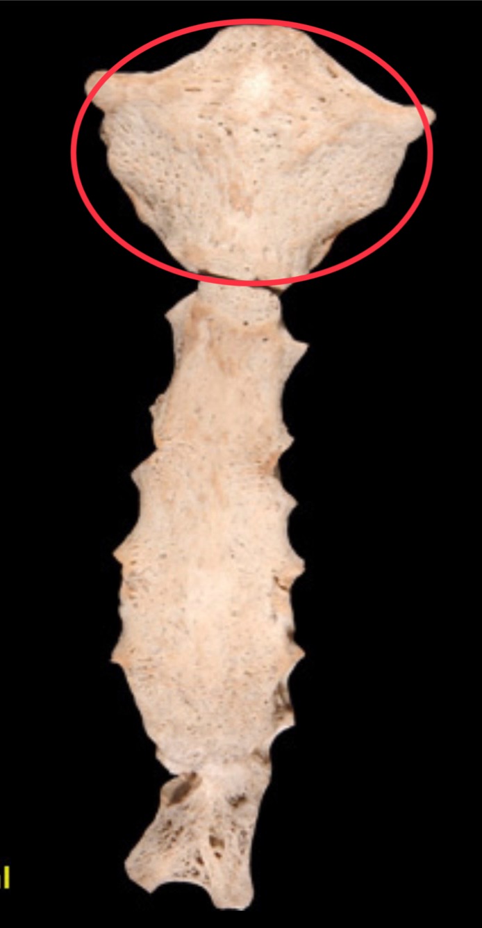 <p>What is this area?</p>
