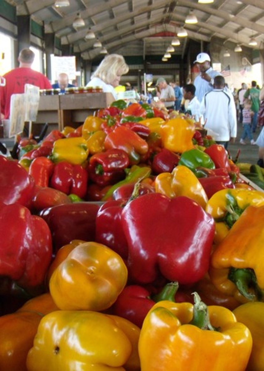 <p>PAPRIKA</p>