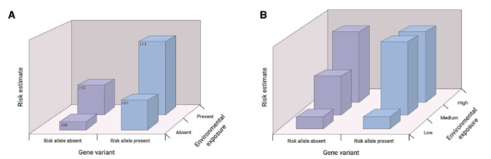 <ul><li><p>risk allele present, health risk is greater even without environmental exposure</p></li><li><p>with environmental exposure, magnitude of health risk significantly greater than when risk allele present</p></li><li><p>even medium dose of environmental exposure greater effect when risk allele present </p></li></ul><p></p>