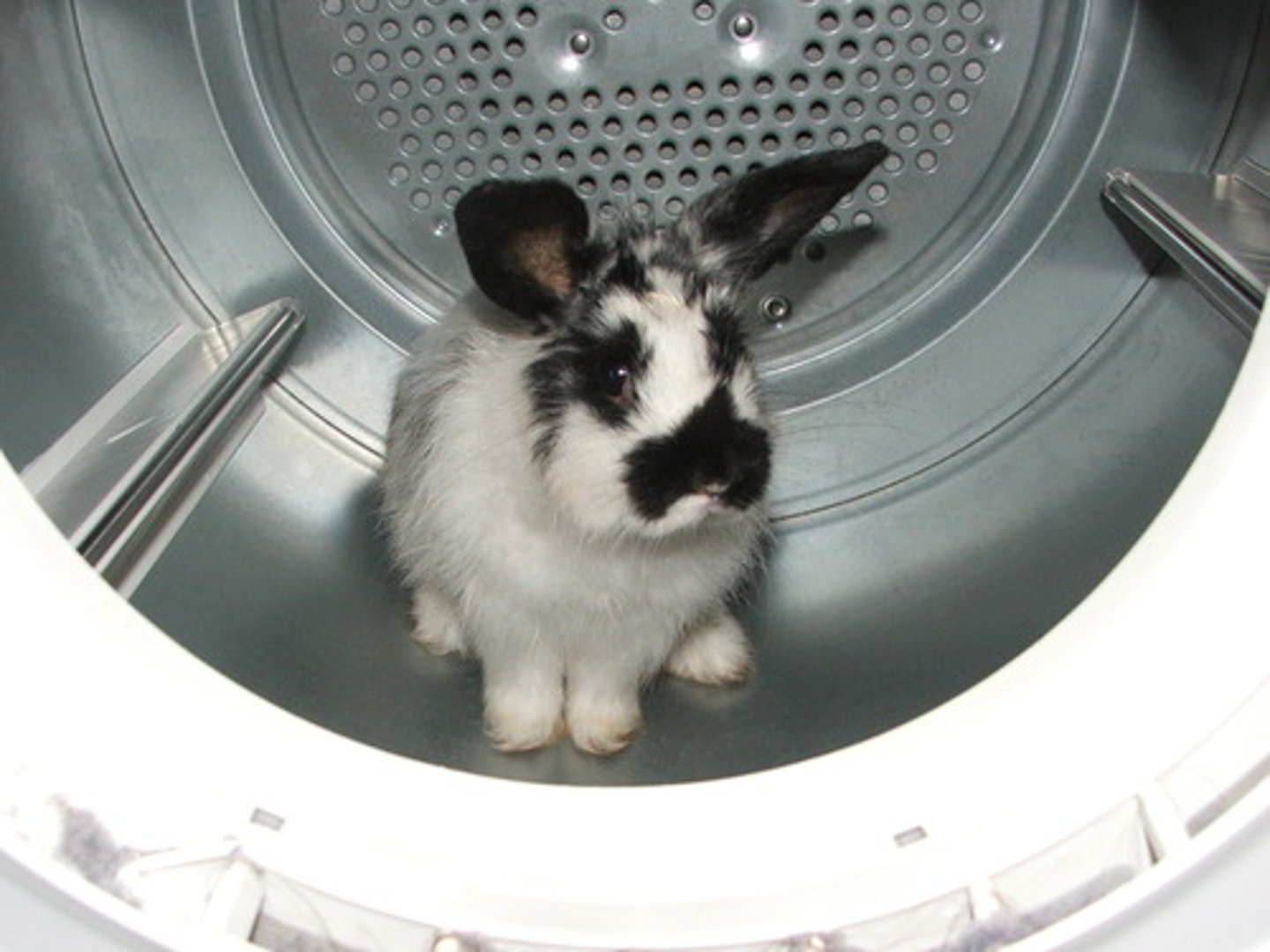 <p>a dryer</p>