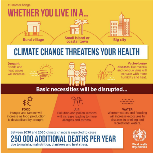<ul><li><p>Respiratory disease: air pollution,&nbsp;pollen and other allergens</p></li><li><p class="p1">Food shortages, malnutrition and&nbsp;undernutrition (eg from flood wiping out crops)</p></li><li><p class="p1">Mental illness</p></li><li><p class="p1">Vector borne disease</p></li><li><p class="p1">Water borne illness</p></li><li><p class="p1">Extreme events</p></li><li><p class="p1">Temperature related morbidity&nbsp;and mortality</p></li><li><p class="p1">Ecoanxiety (anxious abt state of environment)</p></li></ul><p></p>