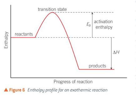 <p>useful for picturing what energy changes are happening throughout the reaction, the highest point on the pathway corresponds to the transition state.</p>