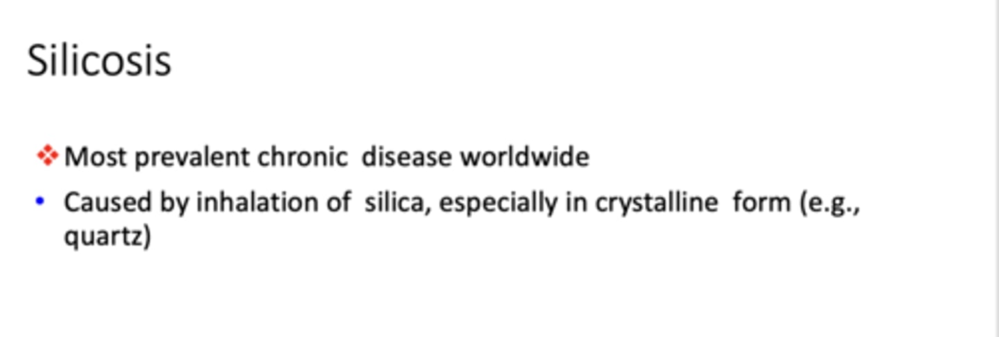 <p>Silicosis</p>