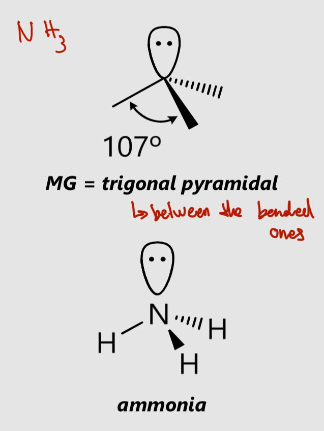 <p>MG = Trigonal pyramidal</p><p>107°</p>