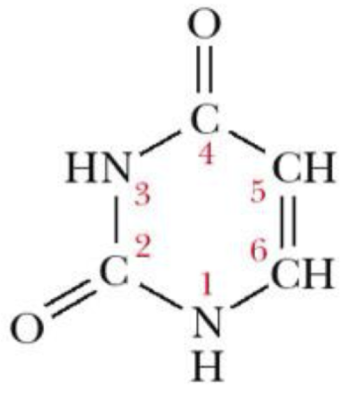 <p>what is this structure?</p>