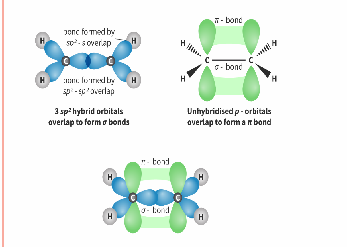 <p><strong>Number of electron domains:</strong> 3</p><p><strong>Electron geometry:</strong> trigonal planar</p><p><strong>Molecular geometry: </strong>Trigonal planar</p><p><strong>Bond angle </strong><u>:&lt;</u> 120</p><p><strong>e.g:</strong> C2</p><p></p><p>one s-orbital and two p-orbitals would become hybridised to produce three equal orbitals. One of the 2p-orbitals is left unhybridized which forms the pi bond (as part of the double bond) .</p><p>The unhybridised p-orbitals that overlap sideways in the pi bond keep the same dumb-bell shape.</p><p><strong>three sigma bonds</strong><span> and </span><strong>one pi bond</strong></p>