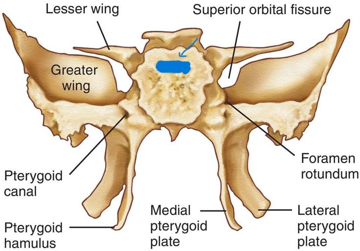 <p>What is this part called?</p>