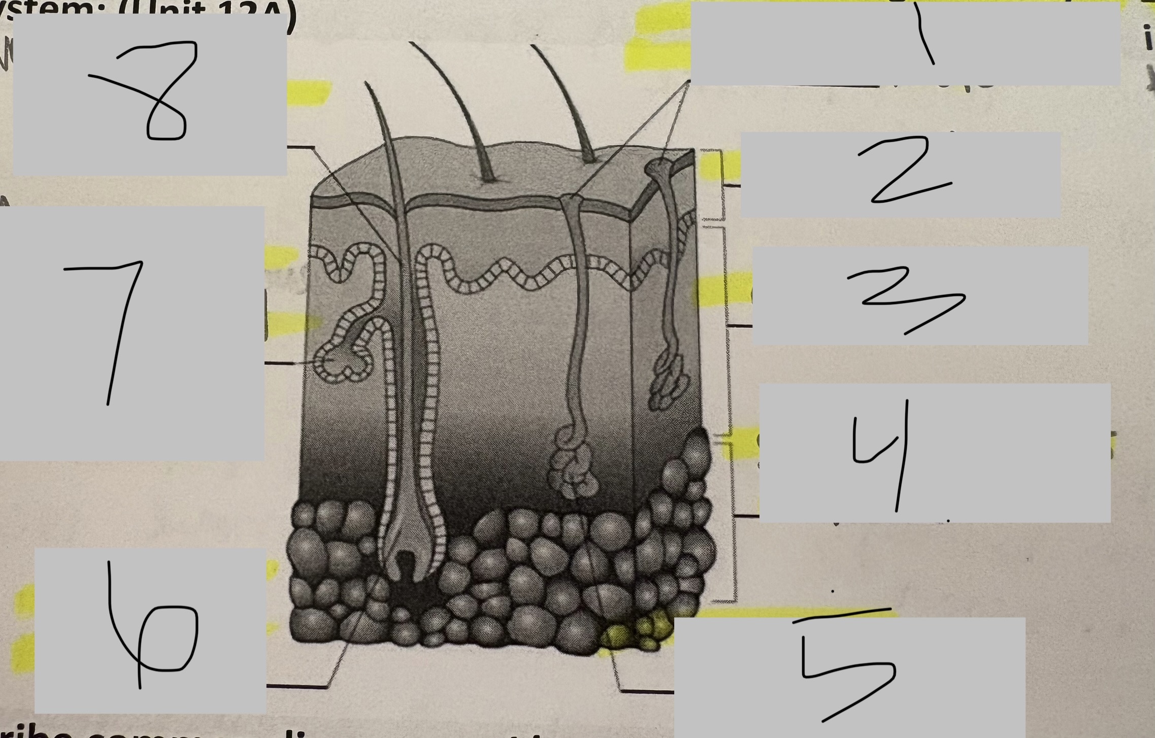 <p>7</p>