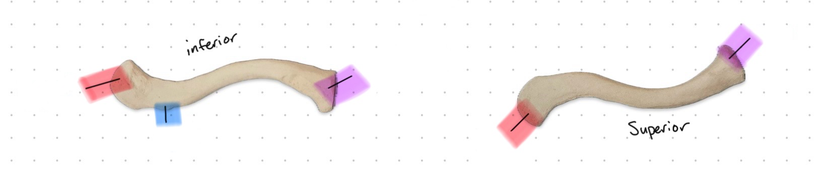 <p>What is the blue part?</p>
