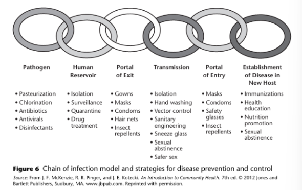<p><span style="background-color: transparent;">model used to explain the spread of a communicable disease from one host to another. The basic premise rep resented in the chain of infection is that individuals can break the chain (reduce the risk) at any point; thus, the spread of disease can be stopped.&nbsp;</span></p><p><br></p><p><span style="background-color: transparent;">Main components</span></p><ol><li><p><span style="background-color: transparent;">Pathogen or infectious agent (bacteria, fungi, viruses, parasites) You can stop the chain of infection here by chlorinating water supply, or pasterization of milk</span></p></li><li><p><span style="background-color: transparent;">Human reservoir or reservoir (dirty surfaces, people, animals) You can stop the chain of infection here by isolation, drug treatment, quarantine.&nbsp;</span></p></li><li><p><span style="background-color: transparent;">Portal of exit (open wounds or skin, splatter of bodily fluids, aerosols) You can stop the chian of infection here by having gowns, masking, condoms, hair nets, insect repellents.&nbsp;</span></p></li><li><p><span style="background-color: transparent;">Mode of transmission or transmission (direct or indirect contact, ingestion, inhalation) You can stop the chain of infection here by isolation, hand washing, santiary engineering, sneeze glass, sexual abstinence.&nbsp;</span></p></li><li><p><span style="background-color: transparent;">Portal of entry (broken skin, respiratory tract, mucous membranes, catheters and tubes) You can stop the chain of infection here by having a mask, band-aids, and safety glasses.</span></p></li><li><p><span style="background-color: transparent;">Establishment of diseases in a new host or susceptible host (any person especially those receiving healthcare) You can stop the chian of infection here by immunizations, heakth education, nutrition promotion</span></p></li></ol><p></p>