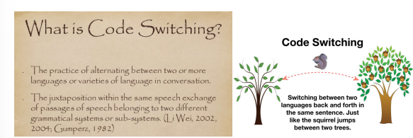 <p>the changing between language varieties, styles, or codes, across sentences or clause boundaries and within a clause or phrase.</p>