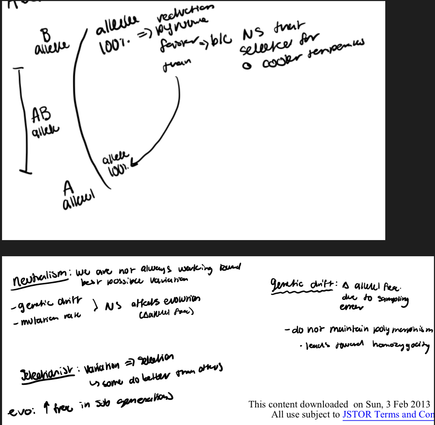 <p>evidence suggest that there is a preference toward one homozygote&gt;other, no advantage to being heterozygous (at either temp), and consistency with the hyp. of NS</p><p>naturalistic perspective (majority of variety is selectively neutral) vs selectivist perspective (selection operates to maintain protein polymorphism like in sickle cell hemoglobia where heterozygotes get malaria resistance)</p><p>used fish bc endothermic so their body temp reflects env.</p><p>got lucky with data set from region perfect conditions</p><p>what prevents speciation in two sister species at diff temps? → gene flow bc no profound barriers to prevent mating thus no geographic isolation that is needed for vertebrate speciation</p><p></p>