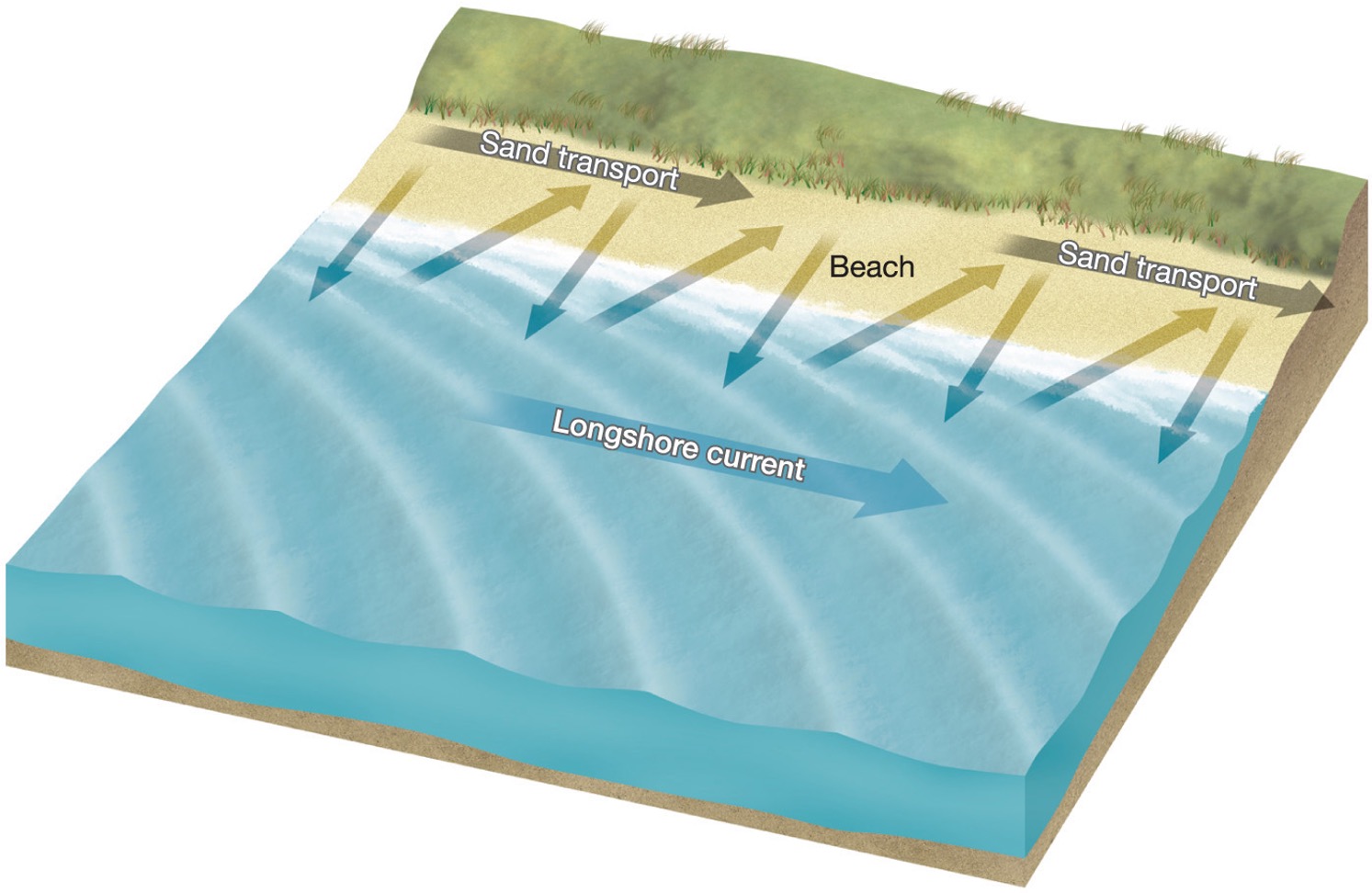 <p><span>Longshore drift – the process that moves sand along the beach, along the shoreline</span></p>