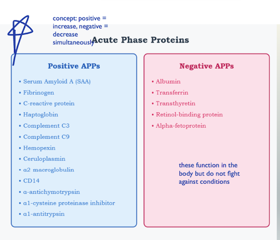 <ul><li><p>APP’s play a role in host defense, balance occurs due to compensation</p><ul><li><p>Ex: Fibrinogen, CRP, AAT, C3, AAG, a2-Macroglobulin, haptoglobin and ceruloplasmin</p></li></ul></li><li><p>APP proteins increase, levels of negative APR proteins decrease</p><ul><li><p>Ex: albumin, prealbumin and transferrin) decrease.</p></li></ul></li></ul><p></p>