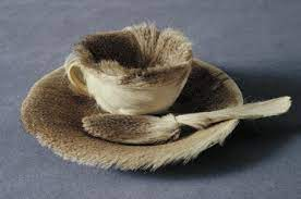 Meret Oppenheim Object