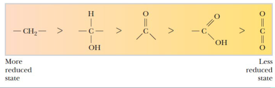 <p>The more C-O bonds the _____ reduced the molecule become</p>