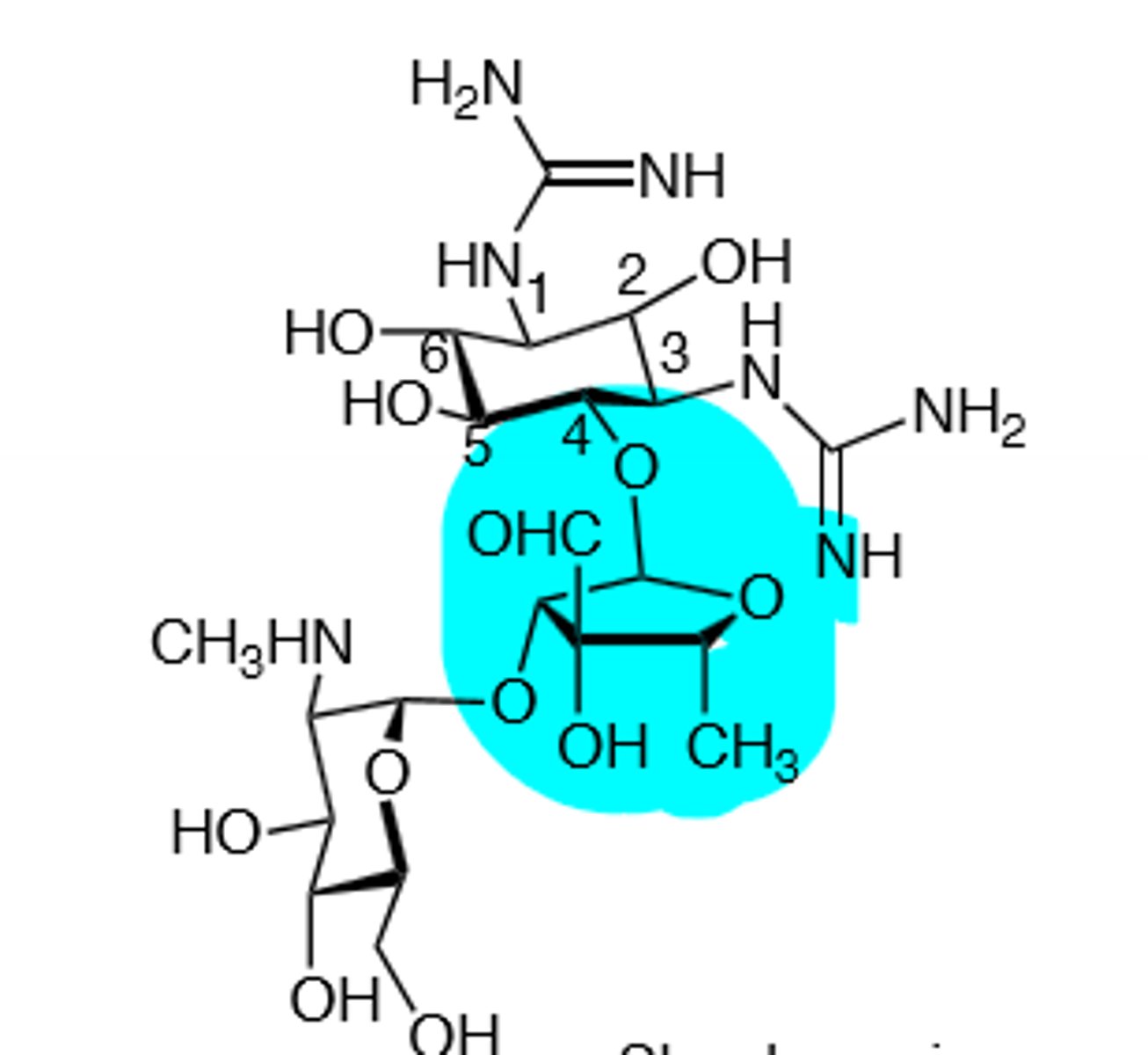 <p>First aminoglycoside isolated, administered by deep IM injections, ototoxic, nephrotoxic, can induce neuromuscular blockade, binds to 30S subunit and cause a frame shift mutation, inactivated by acetylation, adenylation, and phosphorylation, displace Mg and Ca ions to make membrane more permeable in gram (-), do not mix with penicillin, toxicity more likely if treatment exceeds 5 days, teratogen.</p>
