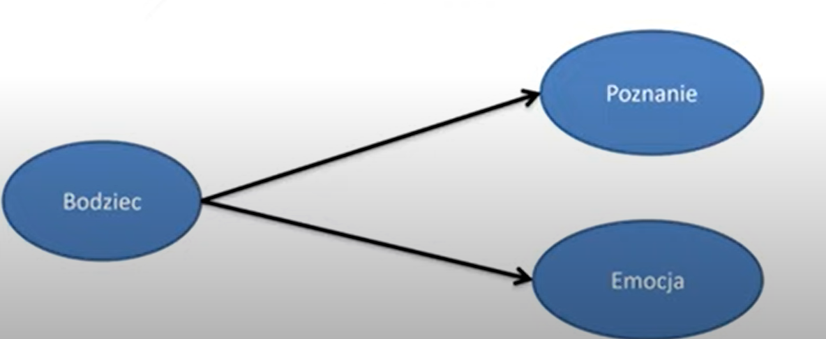 <ol><li><p>tradycyjny model: bodziec→ poznanie→ reakcja emocjonalna</p></li><li><p>nowy model: poznanie i emocja niezależne od siebie</p></li></ol><p></p>