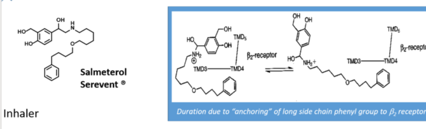 <p>Inhaler</p><p>Long acting Beta2 agonist</p><p>Use: Severe persistent asthma following treatment with short acting B agonist</p><p>Duration: 12 hours</p><p>Longer duration due to anchoring of long side chain phenyl group to B2 receptor</p>