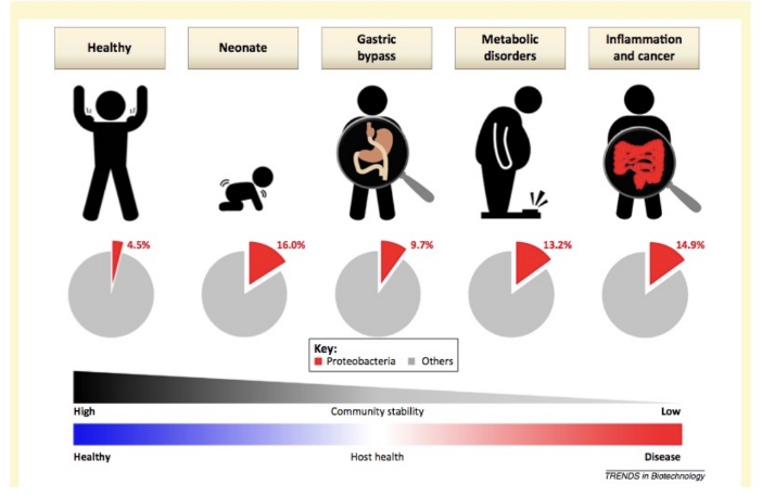 <p><strong>Proteobacterial bloom or dysbiosis.</strong></p>