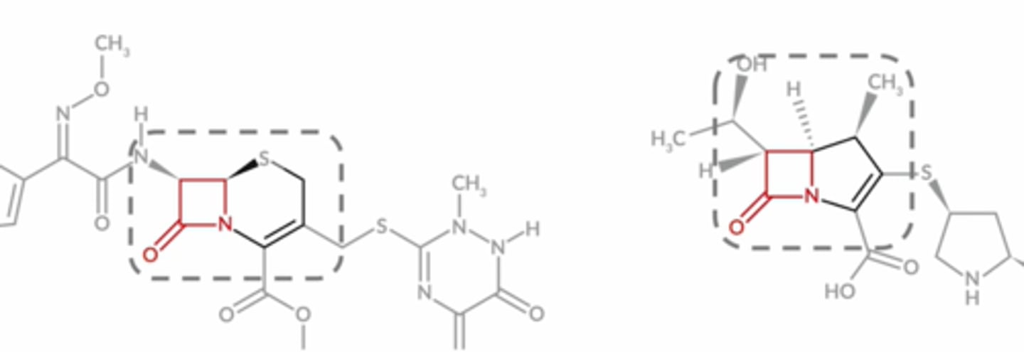 <p>Square with N component and double bonded O fused to another 5 or 6 sided ring</p>
