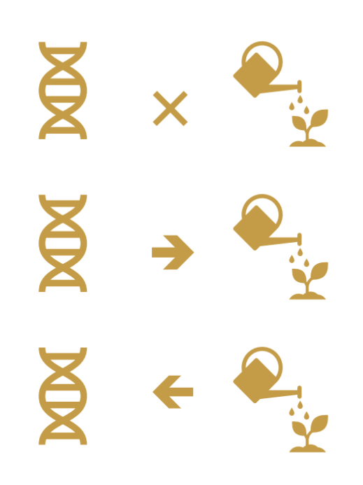 <p>Truth lies in between:</p><ol><li><p>Gene environment interactions</p></li><li><p>Gene environment correlations</p></li><li><p>Epigenetics</p></li></ol>