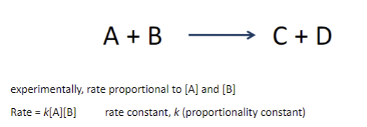 <p><span style="font-family: sans-serif">• at high concentrations of reactants, productive collisions more likely</span></p>