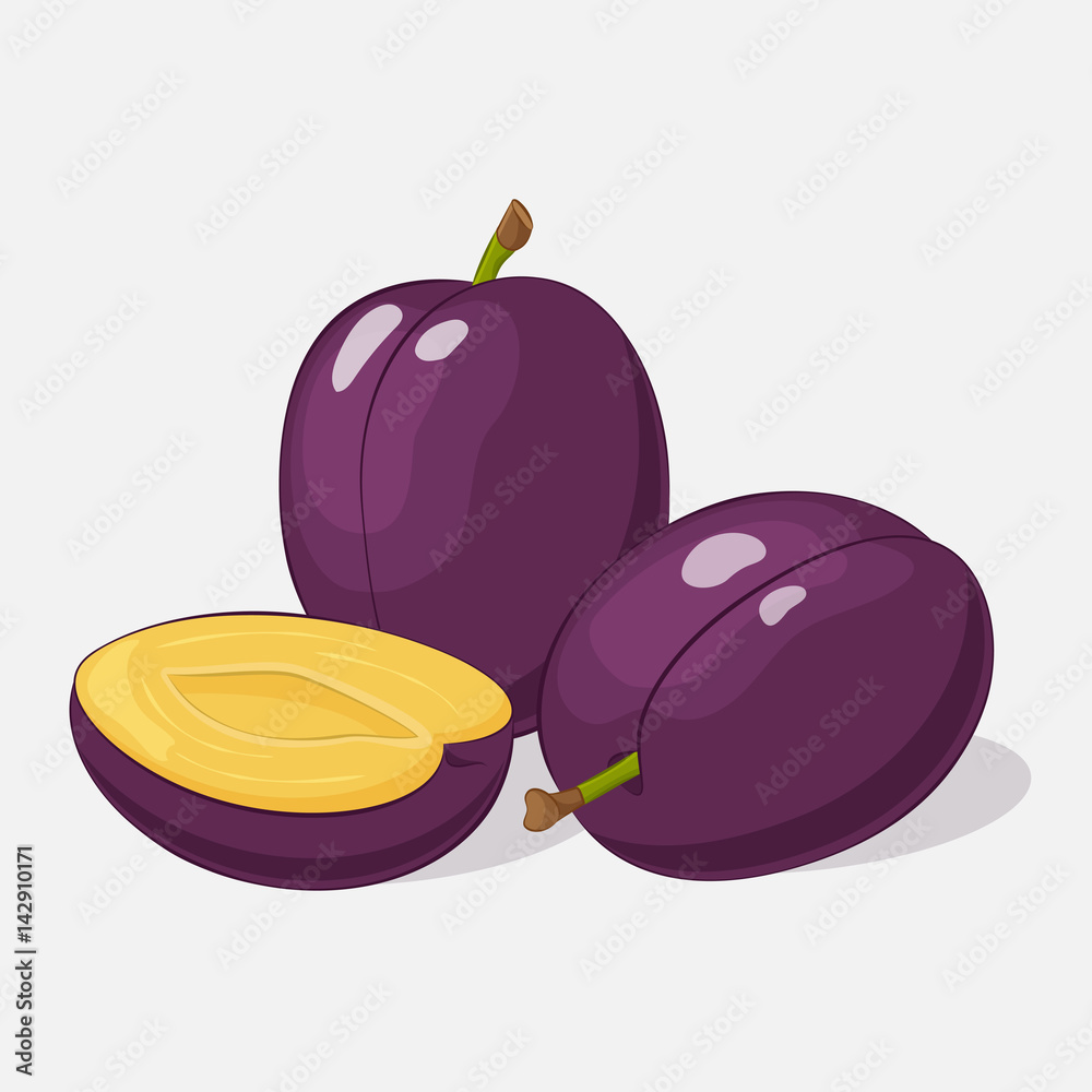 <p>Plum</p>