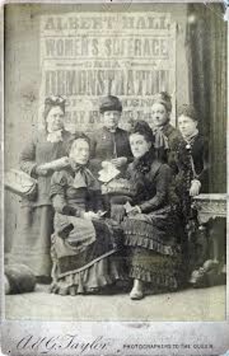 <p>Group founded in 1869 by Susan B. Anthony and Elizabeth Cady Stanton. Pushed for voting rights for women</p>