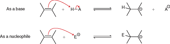 <ol><li><p>The first process illustrates that  𝜋  bonds can be protonated by a strong acid</p></li><li><p>The second process illustrates that 𝜋 bonds can attack electrophiles.</p></li></ol><p></p>