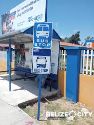 <p>Only <strong>omnibuses may park</strong></p>