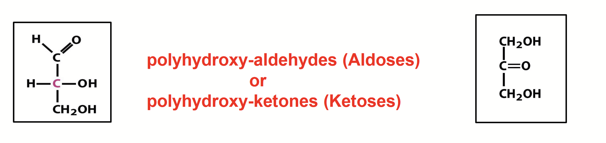 <p>Simple sugars; consist of a single sugar unit (e.g. glucose).</p><p><strong>Very water-soluble</strong>. Poorly soluble or insoluble in organic solvents such as ether or hexane. <strong>Colourless</strong>. Most are <strong>sweet </strong>to the taste.</p><p>Approximate <strong>formula</strong>: (CH<sub>2</sub>O)<sub>n</sub></p><p>Combine two organic chemical functional groups: <strong>carbonyl </strong>(C=O) group, which is either an <strong>aldehyde</strong> or a <strong>ketone</strong>, and <u>at least</u> <strong>two carbons bearing hydroxyl</strong> (alcohol; -C-OH) groups.</p><p><strong>All</strong> except dihydroxyacetone <strong>contain one or more chiral carbon atoms</strong>, giving rise to optically active isomeric forms.</p>