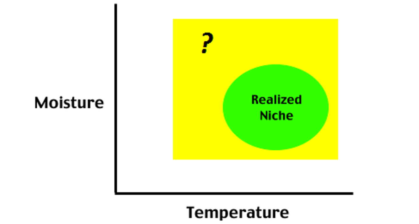 <p>The <strong>full potential range of</strong> the physical, chemical, and biological <strong>factors a species can use</strong> if there is no competition from other species.</p>