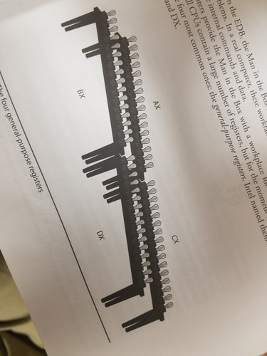 <p>AX, BX, CX, DX</p>