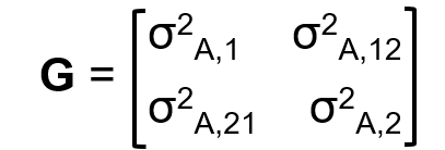 <p>Genetic variance-covariance matrix</p>
